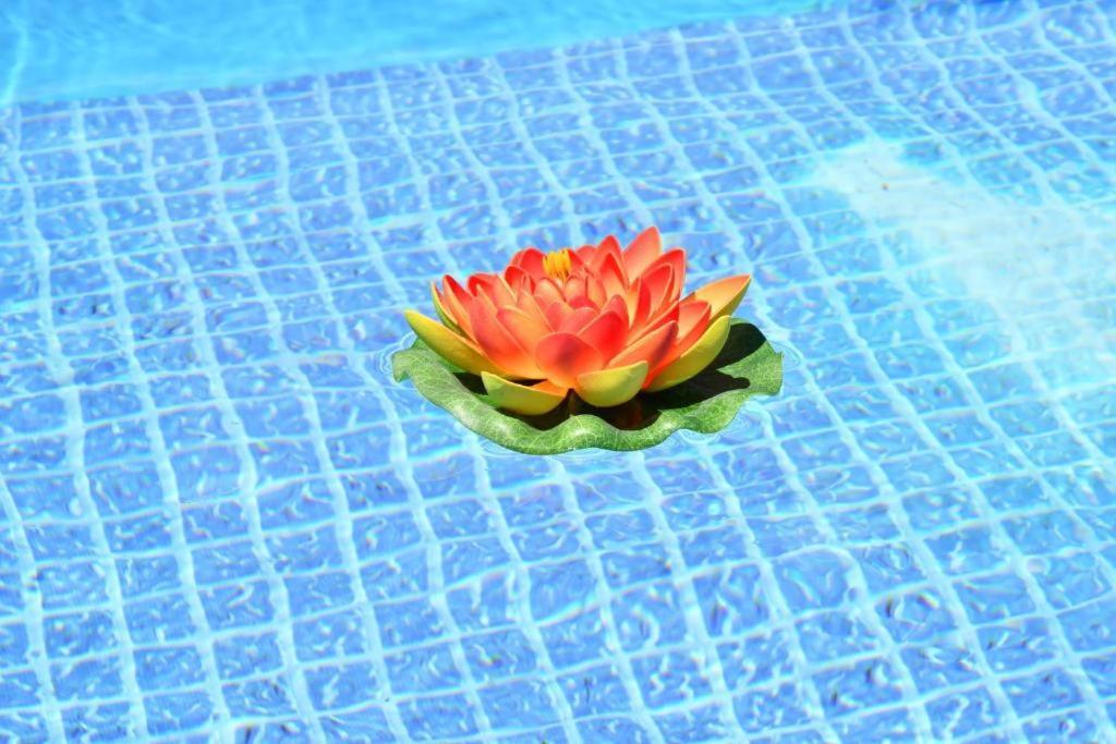 Appartamento Guestready - Sonho Dos Avos II Câmara de Lobos Esterno foto